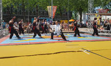 Kung Fu Tai Chi Leeuwendans voor "A Brand New Day"